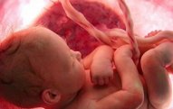 Görün, uşaqlar ana bətnində nə edir?!   - HEYRƏTAMİZ VİDEO