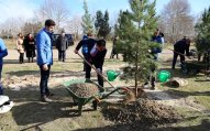 Elmar Vəliyev 24 mininci ağacı əkdi  - FOTOLAR