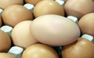 Azərbaycanda TƏHLÜKƏ!   - Viruslu yumurta satılır