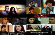 Dövlətin kanallara ayırdığı pulla 40 serial çəkilib