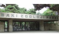 Bakı Zooparkına Çexiyadan maraqlı hədiyyə verilib