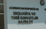 Nazirlikdən balıq AÇIQLAMASI