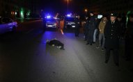 Bakıda DƏHŞƏTLİ QƏZA - İki maşın piyadanı vuraraq öldürdü - FOTOLAR