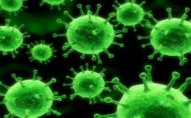Yeni qorxulu virus yayıldı - Bağırsaq qripi