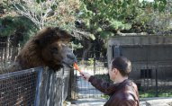 Bakı Zooparkına yeni heyvanlar gətirilib