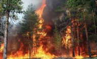 Kaliforniyada meşə yanğınları zamanı 5 nəfər ölüb
