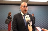 “Bu ilin sonuna qədər DGK büdcə proqnozunu artıqlaması ilə yerinə yetirəcək” – Səfər Mehdiyev