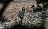 Türkiyədə 43 terrorçu zərərsizləşdirilib