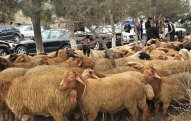 Qurban bayramında heyvan kəsimi ilə bağlı MÜHÜM QƏRAR