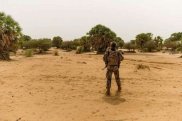 Malidə silahlı hücum zamanı 53 əsgər öldürülüb