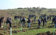 Bu ilin yaz və payız ağacəkmə mövsümlərində 1 milyondan çox ağac əkilib