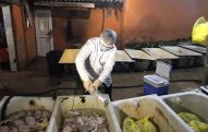 Bakıda qanunsuz quş əti emalı müəssisəsi aşkarlandı