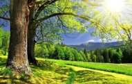 Sabah havanın temperaturu 19 dərəcəyədək yüksələcək