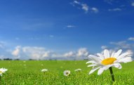 Yaxın üç gün ərzində havanın temperaturu yüksələcək 