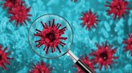 Böyük Britaniya hökuməti: Koronavirus laboratoriyadan sızıb