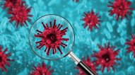 ABŞ koronavirusun mənşəyini araşdırır