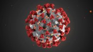 Alimlər koronavirusun ikinci dalğasının dəhşətli olacağını bildirirlər 