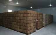 Azərbaycan Ordusunda koronavirusa görə xüsusi qruplar yaradılıb 