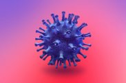 Koronavirusun ilk yarandığı yer müəyyənləşdirildi