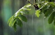 Azərbaycanda havanın temperaturu 5-8 dərəcə aşağı enəcək      - XƏBƏRDARLIQ