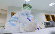 Səhiyyə Nazirliyi:   Həkimlərimizin koronavirusa yoluxması qaçılmazdır