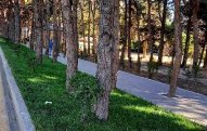        Nəsimi rayonunda abadlıq işləri davam etdirilir     - FOTOLAR
