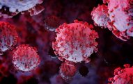 Azərbaycanda mutasiyaya uğramış virus qeydə alınsa hansı addımlar atılacaq?
