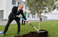 Prezident İlham Əliyev Zirədə zeytun ağacı əkdi