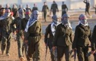 Son həftədə daha 14 terrorçu zərərsizləşdirildi