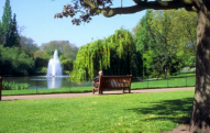 Bakıda bu ərazidə yeni park salınacaq