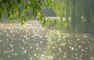 Qeyri-sabit hava nə vaxta kimi davam edəcək?
