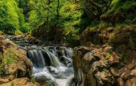 Milli parklar ölkə ərazisinin neçə faizini təşkil edir?