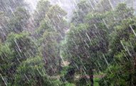 Temperatur düşəcək, leysan yağacaq – Xəbərdarlıq