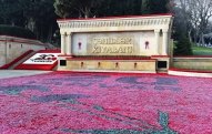 Ərəblər şəhidlərimizi təhqir etdi - Agentliyikdən açıqlama