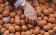 Azərbaycanda yumurta UCUZLAŞACAQ - TARİX
