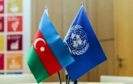 BMT nümayəndəsi: İtkinlərlə bağlı davamlı səylərin göstərilməsi vacibdir