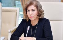 YAP-da Bahar Muradovaya yüksək vəzifə verildi