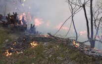 Yardımlıda meşə yanğınları davam edir - Helikopter göndərildi