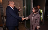Milli Məclisin sədri CAR-a işgüzar səfər edib