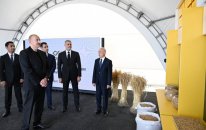 Prezident İmişliyə getdi - FOTOLAR