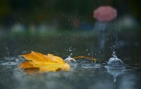 Sabah leysan yağacaq