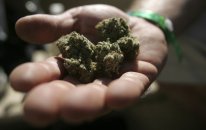 Bu il 185 milyon manatlıq narkotik dövriyyədən çıxarılıb