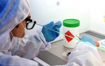 COVİD-19 vaksinləri ölümlərə səbəb olub – ABŞ-dan şok