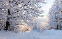 Qış fəslinin Azərbaycana daxil olma vaxtı açıqlanıb