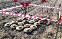 Qazaxın azad edilmiş ərazilərində 243 ha minalardan təmizlənib