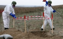 Vətən müharibəsindən sonra 247 887 ha ərazi minalardan təmizlənib