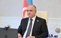 Azərbaycan və Pakistan parlamentlərinin onlayn görüşü keçirilib - Foto