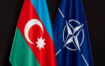 NATO Azərbaycanla əməkdaşlığı yüksək qiymətləndirir