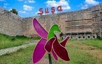 Azad olunmuş ərazilərdə ötən il 191 küçə üzrə 9 153 ünvan təyin edilib