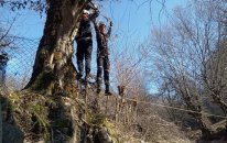 FHN-in Şimal-qərb Regional Mərkəzi taktiki-xüsusi təlim keçirdi - VİDEO